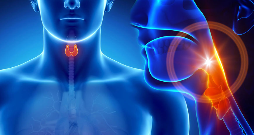 Endocrinology